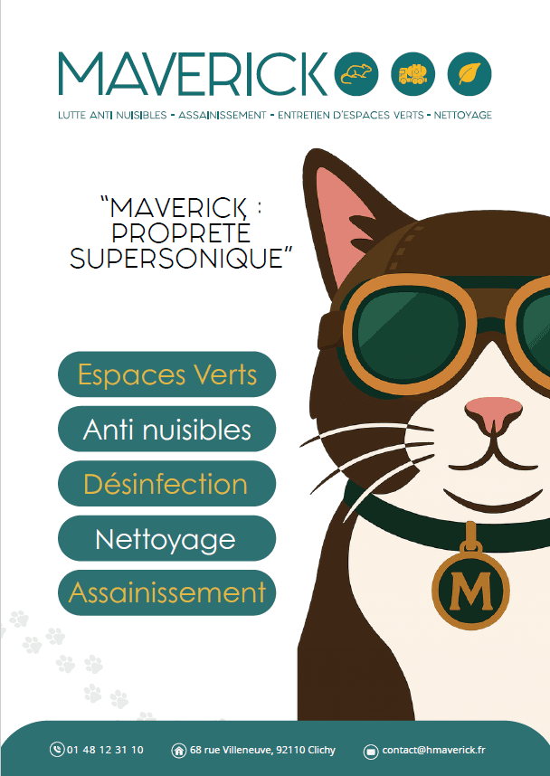 Plaquette Maverick